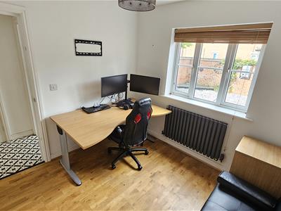 Picture 11